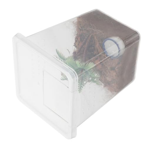 UKCOCO 1 Satz Spinnenbox für Haustiere Springender Spinnenlebensraum Springspinnen-Terrarium Sprungspinnengehege Insekten -Terrarium Zubehör für springende Spinnen Abs von UKCOCO