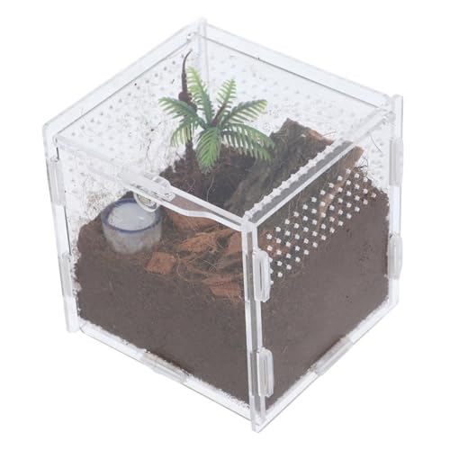 UKCOCO 1 Satz Springspinnen-zuchtbox Reptilien Zuchtbehälter Insektenbehälter Transparenter Springspinnenkäfig Lebensraumkäfig Für Insekten Reptilfall Spinnen-Terrarium Acryl UKCOCO 1 Satz Springspinnen-zuchtbox Reptilien Zuchtbehälter Insektenbehälter Transparenter Springspinnenkäfig Lebensraumkäfig Für Insekten Reptilfall Spinnen-Terrarium Acryl von UKCOCO