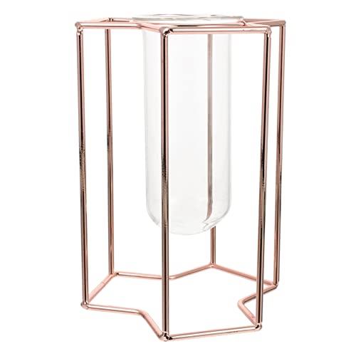 UKCOCO Glasröhrenvase Für Hydrokultur Grüner Pflanzenbehälter Aus Hochwertigem Glas Und Eisen Abnehmbarer Behälter Für Einfache Pflege Platzsparendes Design Für Heimgebrauch UKCOCO Glasröhrenvase Für Hydrokultur Grüner Pflanzenbehälter Aus Hochwertigem Glas Und Eisen Abnehmbarer Behälter Für Einfache Pflege Platzsparendes Design Für Heimgebrauch von UKCOCO