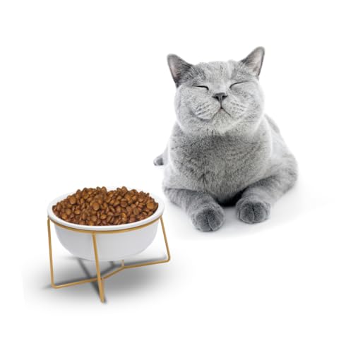 UKCOCO 1 Stück hohe Füße Feeder pet Supplies Dog Bowl hundeschale Haustiergeschirr dogbowl erhöhte Hundenäpfe erhöhte Katzennäpfe Futternapf für Haustiere Futterautomat für Haustiere Weiß UKCOCO 1 Stück hohe Füße Feeder pet Supplies Dog Bowl hundeschale Haustiergeschirr dogbowl erhöhte Hundenäpfe erhöhte Katzennäpfe Futternapf für Haustiere Futterautomat für Haustiere Weiß von UKCOCO