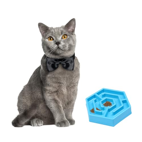 UKCOCO 1 Stück kreativer Futternapf für Haustiere Hundenapf langsames Futter seicht Katzenfutter Essen Slow Feeder Hundenäpfe pet Supplies hundebar Haustiernapf Futternapf für Katzen Blue von UKCOCO