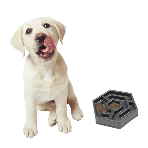 UKCOCO 1 Stück kreativer Futternapf für Haustiere langsam Schüssel klein Hallo königlich pet Supplies hundekot Hundenahrung katzentasse katzennäpfe Katzenfutter Futternapf für Katzen Grey von UKCOCO