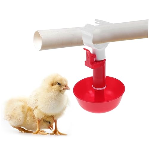 UKCOCO 10 Stück Hühnertränke Vogel Wasser Vogelwasserspender automatische Zuführung rostfrei Hühnerwasser Trinker Huhn Werkzeuge zum Füttern von Vögeln Trinkbecher für Vogelwasser rot von UKCOCO
