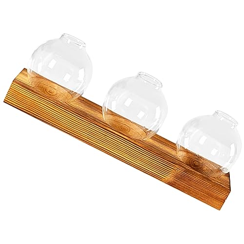 UKCOCO Glasterrarium Für Pflanzen Mit Holzfuß Hydrokultur-Terrarium Für Innenbereich Glasvase Für Hydrokulturpflanzen Pflanzenterrarium Für Anlage Und Ausbreitung Dekoration Für UKCOCO Glasterrarium Für Pflanzen Mit Holzfuß Hydrokultur-Terrarium Für Innenbereich Glasvase Für Hydrokulturpflanzen Pflanzenterrarium Für Anlage Und Ausbreitung Dekoration Für von UKCOCO