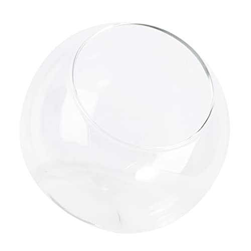 UKCOCO 1Stück Mikro Terrarium Glasflasche Øcm Pflanzenglasbehälter für DIY Mini Landschaften für Schlafzimmer Wohnzimmer Büro und Design für Kreative von UKCOCO
