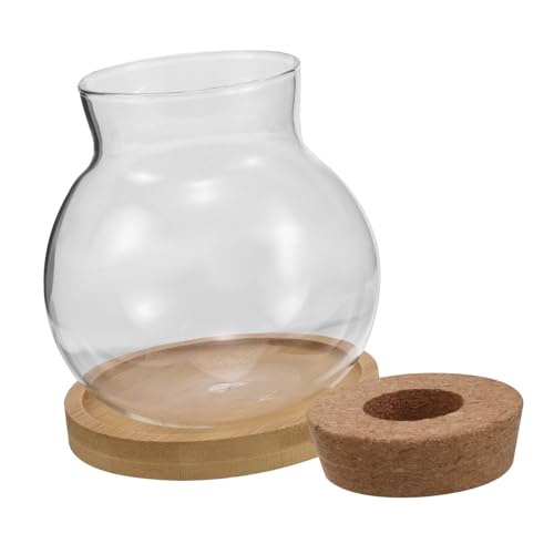 UKCOCO 2 Sets Hydrokultur Pflanzflasche Hydrokultur Vase Anzuchtgläser Kleine Durchsichtige Vase Terrarienschale Hydrokultur Pflanzschale Desktop Terrarium Pflanzen Terrarium UKCOCO 2 Sets Hydrokultur Pflanzflasche Hydrokultur Vase Anzuchtgläser Kleine Durchsichtige Vase Terrarienschale Hydrokultur Pflanzschale Desktop Terrarium Pflanzen Terrarium von UKCOCO