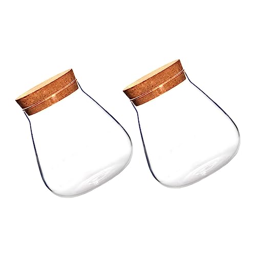 UKCOCO 2 Stück Flasche Aus Korkglas Klare Glasflasche Ökologisches Glas Glasvase Mikrolandschaft Terrarium Klares Terrarium Kanister Mit Glasverschluss Speichertopf Hausbedarf Brown Holz von UKCOCO