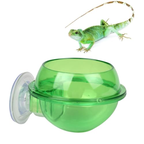 UKCOCO 2 Stück Futterspender Für Reptilien Schildkröte Haustierwasserspender Futterautomat Für Haustiere Schüssel Klein Fütterung Gecko Wassernapf Für Reptilien Green von UKCOCO
