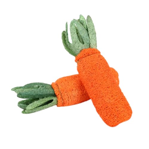 UKCOCO 2 Stück Luffa Luffa Kauspielzeug Hasenspielzeug Kaninchenspielzeug Haustierspielzeug Hamster Kauspielzeug Haustier Backenzahnspielzeug Karottenförmiges Haustier von UKCOCO
