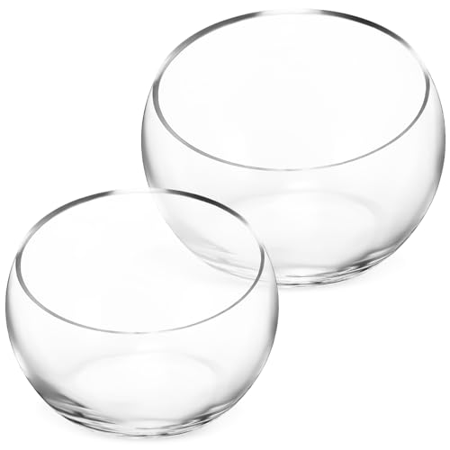 UKCOCO 2 Stück Zwei Glaskübel für Sukkulenten Halbkreis Glasblumentöpfe mit Schrägen Öffnungen Transparente Pflanzgefäße für Kreative Arrangements und Terrarien von UKCOCO