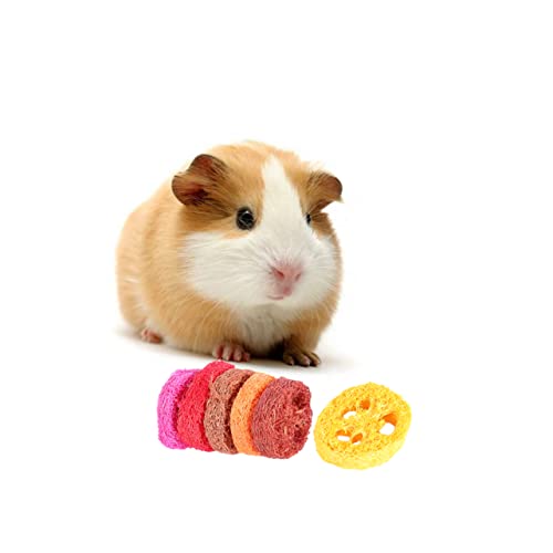 UKCOCO 6 Stück Luffa- Ratte Hamster -Wasserflaschenständer Hund Rennmaus Hamster hamsterspielzeug beißendes Kauspielzeug für Kaninchen Backenzahnspielzeug für Haustiere UKCOCO 6 Stück Luffa- Ratte Hamster -Wasserflaschenständer Hund Rennmaus Hamster hamsterspielzeug beißendes Kauspielzeug für Kaninchen Backenzahnspielzeug für Haustiere von UKCOCO