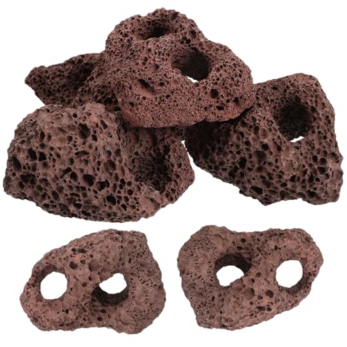 UKCOCO 6 Stück Volcanic Stone Aquarium Dekoration Wasserpflanzen Fixierhalter Sicher Natürliches Lavagestein für Aquarien Wurzelsicherung und Unterwasserlandschaft UKCOCO 6 Stück Volcanic Stone Aquarium Dekoration Wasserpflanzen Fixierhalter Sicher Natürliches Lavagestein für Aquarien Wurzelsicherung und Unterwasserlandschaft von UKCOCO