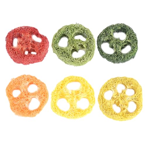 UKCOCO 6 Stück beißendes Kauspielzeug für Kaninchen Hamster hamsterspielzeug Kauspielzeug für Rennmäuse Luffa für Hamster Ratte Backenzahnspielzeug für Haustiere Luffa- von UKCOCO