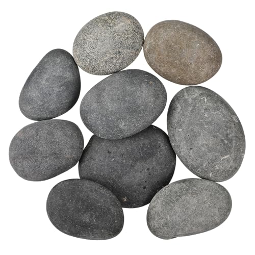 UKCOCO 9stücke Flache Flusssteine Bastelsteine Zum Bemalen Für Garten Aquarium Und Kreative Projekte Natürliche Glatte Steine Für Vielseitige Anwendungen UKCOCO 9stücke Flache Flusssteine Bastelsteine Zum Bemalen Für Garten Aquarium Und Kreative Projekte Natürliche Glatte Steine Für Vielseitige Anwendungen von UKCOCO