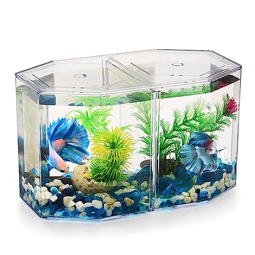 UKCOCO Betta kleines Aquarium: mit beweglichem Aquarium, transparent, zur Aufzucht von roten Fischen, Betta, 7,86 x 4,72 x 4,32 Zoll UKCOCO Betta kleines Aquarium: mit beweglichem Aquarium, transparent, zur Aufzucht von roten Fischen, Betta, 7,86 x 4,72 x 4,32 Zoll von UKCOCO