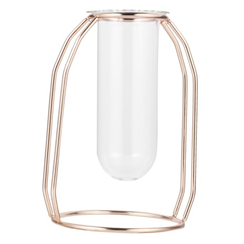 UKCOCO Blumenröhre pansycase zweige wohnungseinrichtung fresien wohnungsdeko pflanzendeko Terrarium unterschrank Easy putz erosen Vasen Wohnkultur Pflanzgefäß mit Metallrahmen Golden UKCOCO Blumenröhre pansycase zweige wohnungseinrichtung fresien wohnungsdeko pflanzendeko Terrarium unterschrank Easy putz erosen Vasen Wohnkultur Pflanzgefäß mit Metallrahmen Golden von UKCOCO