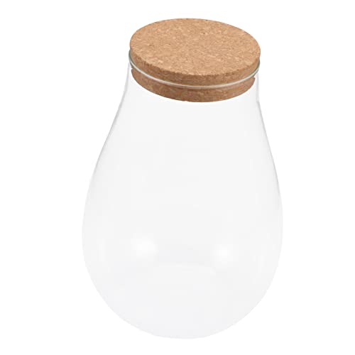UKCOCO Dekorativer Ökologischer Pflanzenbehälter DIY Terrarium Glasflasche Für Wasserpflanzen Moos Ökologie Flasche Mit Holzverschluss Für Innenräume von UKCOCO