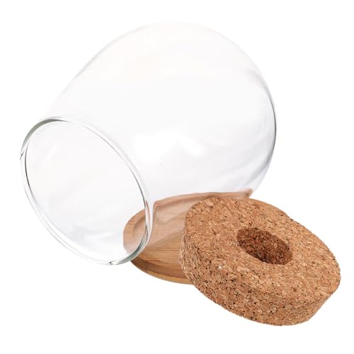 UKCOCO Hydroponische Vase Vasen Terrarium Hydroponische Schüssel Topf Anzuchtgläser Hydroponische Pflanzgefäße Fischtank Glaspflanzgefäß Vase Mikro Landschaftsbehälter Transparenter von UKCOCO