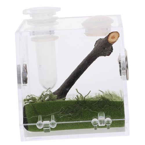 UKCOCO Kasten Lebensraum Fall Spinne acrylbehälter glasgefäß Transparente Aufzuchtbox Kriechtierhaltungsbox Insektenzuchtbox luftbefeuchter Fütterung Fall Lebensraum Käfig Container von UKCOCO