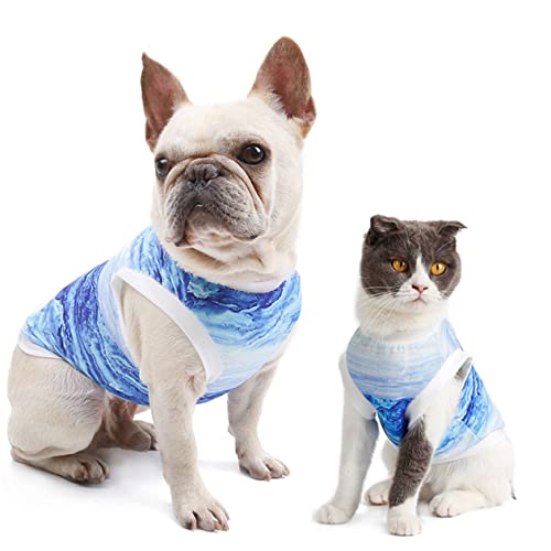 UKCOCO Kühlweste Für Haustiere Klein Hund Sommer Kühlweste Atmungsaktive Hundeweste Haustierkleidung Hund Kühlung Kühlende Hundeweste Jacke Weste Kühlung Für Hunde Kühler Welpenweste Blue von UKCOCO