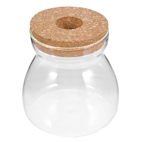 UKCOCO Mikrolandschaft Terrarium Glasvase mit Deckel Mittelgroß Hydrokultureller Pflanzenbehälter für Moos Zimmerdekoration Stabiles Ökosystem Transparent Vielseitig für Wohn und von UKCOCO