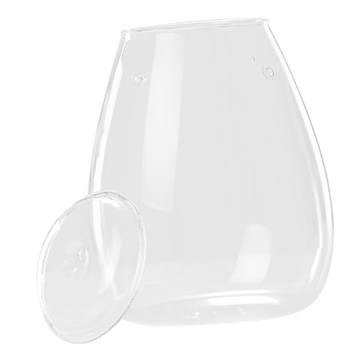 UKCOCO Moos-Öko-Flasche wachsen Pflanzschalen für Terrarien geometrisches Pflanzenterrarium Terrarienglas büro deko Office deko Glastöpfe für Pflanzen Mikro-Landschaftspflanzerflasche von UKCOCO