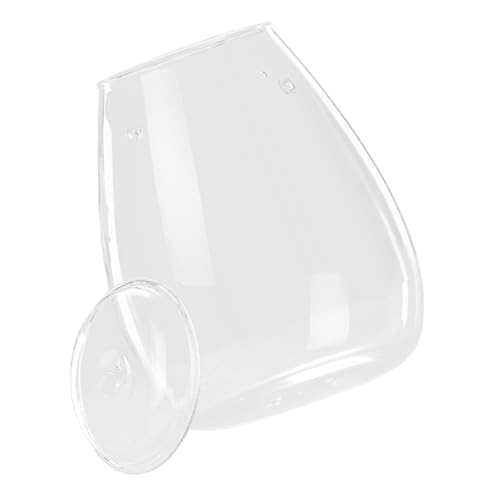 UKCOCO Moos-öko-Flasche Geometrisches Pflanzenterrarium Sukkulenten Transparent Pflanzschalen Für Terrarien Drinnen Flaschenterrarium Wachsen Anlage Hydroponische Vase Glas von UKCOCO