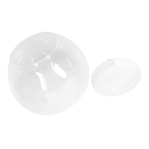 UKCOCO Ökologischer Fischtank Für Betta Transparenter Desktop Aquarium Tank Zur Verschönerung Für DIY Landschaften von UKCOCO