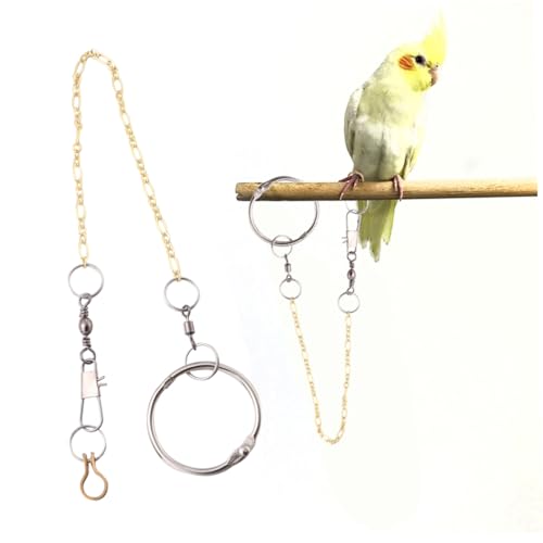 UKCOCO Papagei Fuß Fußkettchen Vogelgeschirr Kette groß Beinringe für Papageien Gold vogelkäfig zubehör vogelzubehör für käfig Vogelbeinring Schnalle Kupfer Fußkettchen für Vögel Silver UKCOCO Papagei Fuß Fußkettchen Vogelgeschirr Kette groß Beinringe für Papageien Gold vogelkäfig zubehör vogelzubehör für käfig Vogelbeinring Schnalle Kupfer Fußkettchen für Vögel Silver von UKCOCO