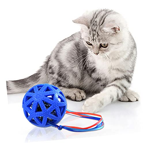 UKCOCO Pet-Ball- Katzenspiel Hüpfball Für Katzen Ballspielzeug Für Katzen Katzenbälle Groß Interaktiv Katzensachen Ballspielzeug Für Kätzchen Drinnen Katze Wohnungskatzen Halten UKCOCO Pet-Ball- Katzenspiel Hüpfball Für Katzen Ballspielzeug Für Katzen Katzenbälle Groß Interaktiv Katzensachen Ballspielzeug Für Kätzchen Drinnen Katze Wohnungskatzen Halten von UKCOCO