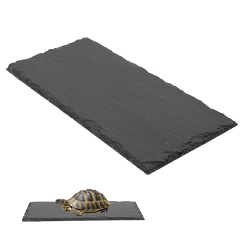 UKCOCO Reptil Schildkröte Schiefer Platte klein Schildkrötenfelsen für Schildkröte Fütterung schildkröten zubehör Reptilien zubehör dekorativer Futterteller ruhender Futterteller Grey von UKCOCO