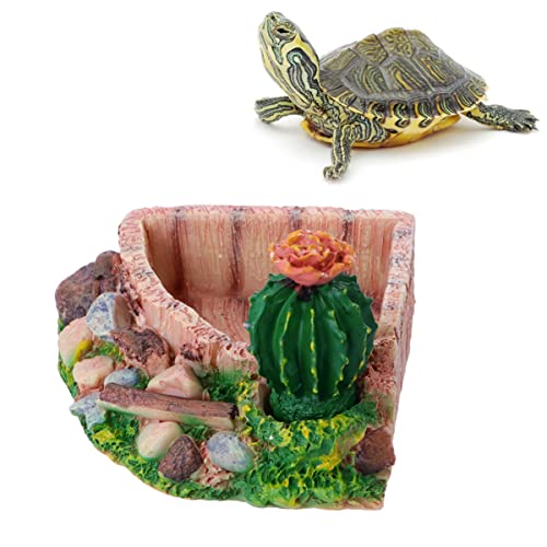 UKCOCO 1 Stück Terrarien Terrarium Lebensraumzubehör Für Schildkröten Reptilien Bartagame Wasserschale Trinkschale Kriechschüssel Reptivit Haustierzubehör Futternapf Glas Lebensmittel von UKCOCO