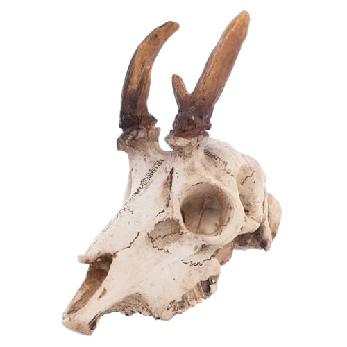 UKCOCO Reptilienversteck aus Resin Mittlerer Elchschädel Terrarium Dekoration mit Kletter und Versteckfunktion Fake Skull für Leopardgecko und Reptilientanks Gesundheitsförderndes von UKCOCO