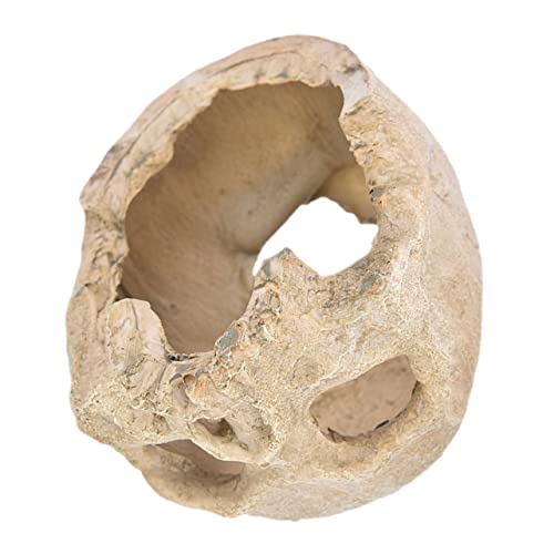 UKCOCO Resin Aquarium Schädel Ornament Dekorative Fischtank Versteck Robustes Kunstharz Natürliche Versteckmöglichkeit für Reptilien und Garnelen Langlebig und Abriebfest von UKCOCO
