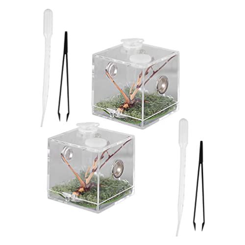 UKCOCO Acryl Terrarium Springspinnengehege: Acryl-Reptilien-Zuchtbox -Reptilien-Terrarium Mit Tropfzange Für Vogelspinnen- 1 Set von UKCOCO