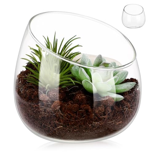 UKCOCO Terrarienschale aus transparentem Glas, dekorativer Übertopf für Sukkulenten und Blumen, Pflanztopf für Tafelaufsätze und Heimdekoration von UKCOCO