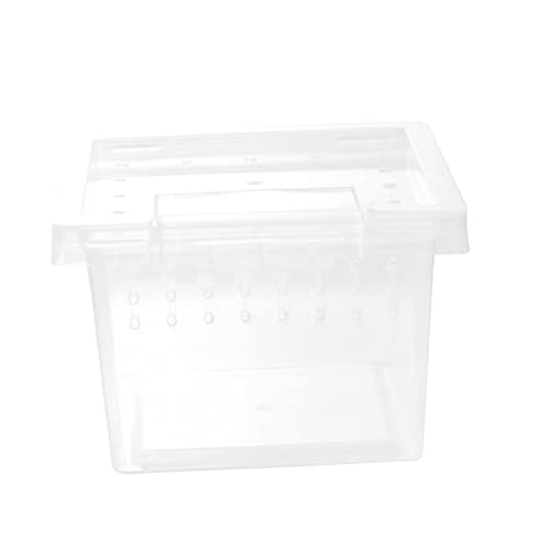 UKCOCO Transparente Reptilien Zuchtbox aus Kunststoff Optimale Aufzuchtdose für Gecko Spinnen Schlangen und Andere Reptilien Terrarium von UKCOCO