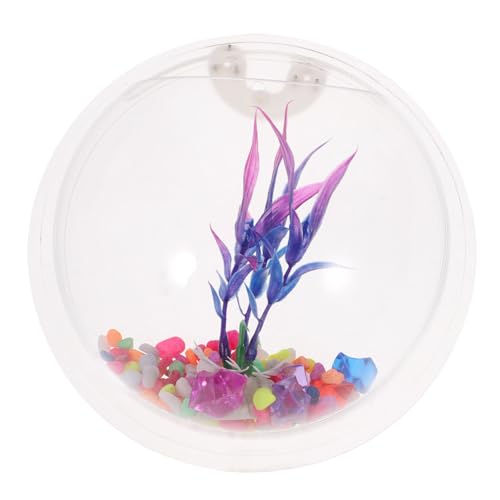 UKCOCO Wandmontierter Fischbehälter Transparentes Kreatives Design für Wanddekoration und Platzersparnis für Fische und Pflanzen Einfache Zufällige Farbe UKCOCO Wandmontierter Fischbehälter Transparentes Kreatives Design für Wanddekoration und Platzersparnis für Fische und Pflanzen Einfache Zufällige Farbe von UKCOCO