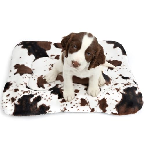ULIGOTA Hundebett, Haustierkissen, Hundebett, Welpenbett für kleine Hunde, weich, flauschig, für Hundekäfig, rutschfest, bequem, kleines Hundebett, Größe M, Weiß/Braun ULIGOTA Hundebett, Haustierkissen, Hundebett, Welpenbett für kleine Hunde, weich, flauschig, für Hundekäfig, rutschfest, bequem, kleines Hundebett, Größe M, Weiß/Braun von ULIGOTA
