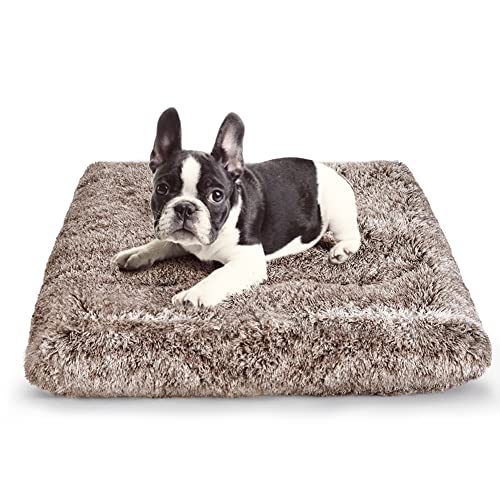 Hundebett Kistenunterlage Plüsch Weiches Haustierbett Beruhigendes Hundebett für große, mittelgroße und kleine Hunde und Katzen Waschbar Anti-Rutsch Zwinger Kiste Matten zum Schlafen und Anti-Angst S Hundebett Kistenunterlage Plüsch Weiches Haustierbett Beruhigendes Hundebett für große, mittelgroße und kleine Hunde und Katzen Waschbar Anti-Rutsch Zwinger Kiste Matten zum Schlafen und Anti-Angst S von ULIGOTA