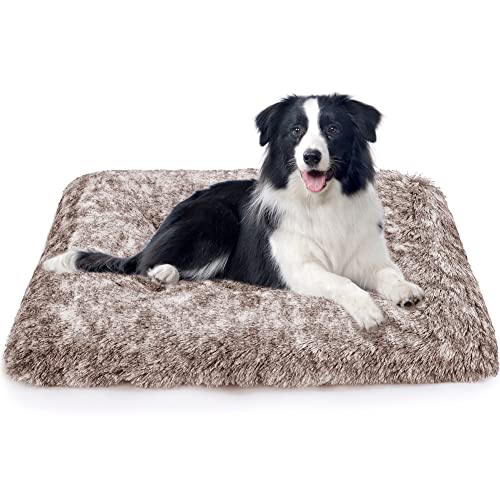 ULIGOTA Hundebettunterlage aus Plüsch, weich, für mittelgroße Hunde und Katzen, waschbar, rutschfest, zum Schlafen und gegen Angst, Größe M ULIGOTA Hundebettunterlage aus Plüsch, weich, für mittelgroße Hunde und Katzen, waschbar, rutschfest, zum Schlafen und gegen Angst, Größe M von ULIGOTA
