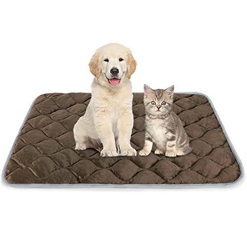 ULIGOTA Selbstwärmendes Katzenbett und Hundekäfigunterlage – Thermo-Heizmatte für Haustiere ULIGOTA Selbstwärmendes Katzenbett und Hundekäfigunterlage – Thermo-Heizmatte für Haustiere von ULIGOTA