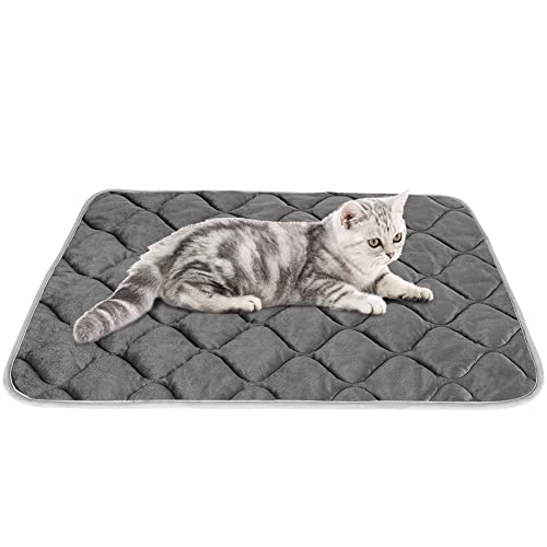 ULIGOTA Selbstheizende Haustierunterlage für Katzen und Hunde, Keine elektrische, selbstwärmende Thermomatte für Haustierbett/-käfig – 70 x 48 cm ULIGOTA Selbstheizende Haustierunterlage für Katzen und Hunde, Keine elektrische, selbstwärmende Thermomatte für Haustierbett/-käfig – 70 x 48 cm von ULIGOTA