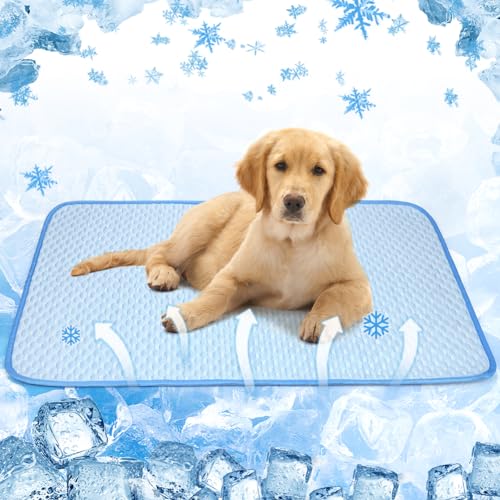 ULIGOTA Waschbare Hunde-Kühlmatte für Hundehütte, wasserdicht, waschbar, Hunde-Urinierkissen, Sommer-Kühlkissen für Hunde, Katzen, selbstkühlendes Hunde-Schlafbett ULIGOTA Waschbare Hunde-Kühlmatte für Hundehütte, wasserdicht, waschbar, Hunde-Urinierkissen, Sommer-Kühlkissen für Hunde, Katzen, selbstkühlendes Hunde-Schlafbett von ULIGOTA