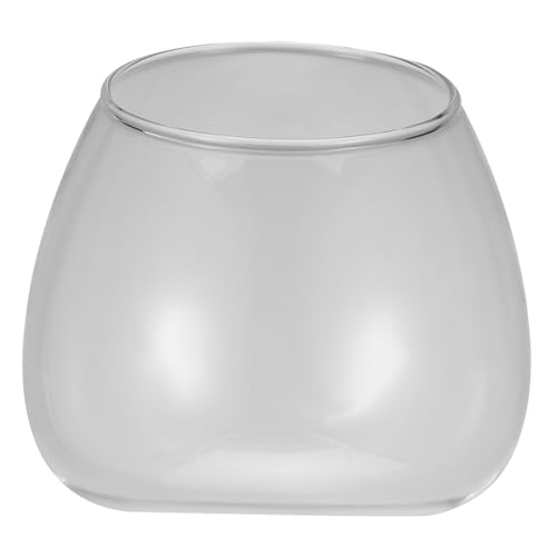 ULTECHNOVO 1Stück Microlandschaft Terrarium Glasvase für Sukkulenten und Blumen Robuste und Kreative Pflanzenbehälter für Zuhause und Büro Transparent von ULTECHNOVO