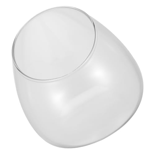 ULTECHNOVO 1Stück Mikro Schmaler Terrarium Blütenglasvase Transparente Sukkulente Pflanzenvase für Kreative für Zuhause und Büro Stilvolles Design zur Verschönerung Ihrer von ULTECHNOVO