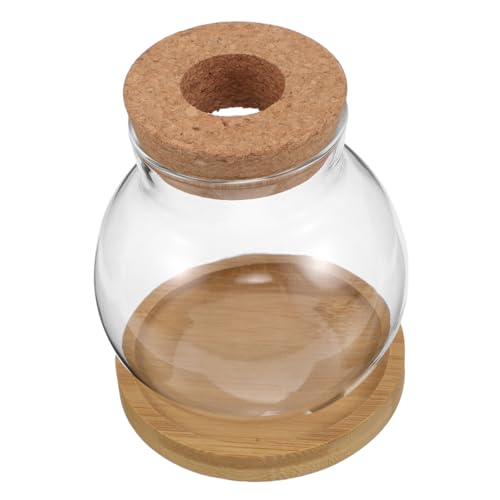ULTECHNOVO 2 Sets Hydrokultur Pflanzflaschen Anzuchtgläser Terrarienschale Hydrokulturvase Kleine Durchsichtige Vase Desktop Anzuchtglas Desktop Terrarium Fischvase Transparenter von ULTECHNOVO