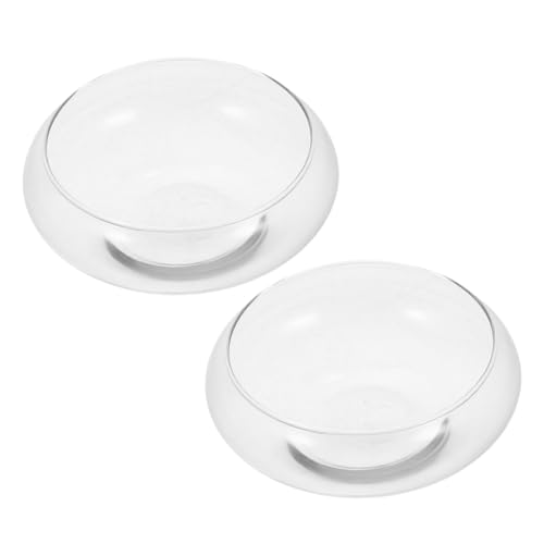 ULTECHNOVO 2 Stück Terrarium Pflanzgefäße für Sukkulenten und Luftpflanzen Rundes Design für Innen und Außendekoration Robustes Material Stilvolle Tischvase für Zuhause von ULTECHNOVO