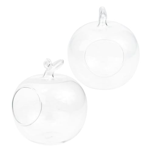ULTECHNOVO 2 Stück hydroponische Vase Hydrokultur-Ökosystemflasche Terrariumpflanze Wasserpflanzen Vase Transparentes Glasgefäß Terrariumglas Glas Gewächshaus Pflanzen -Terrarium -Kit von ULTECHNOVO