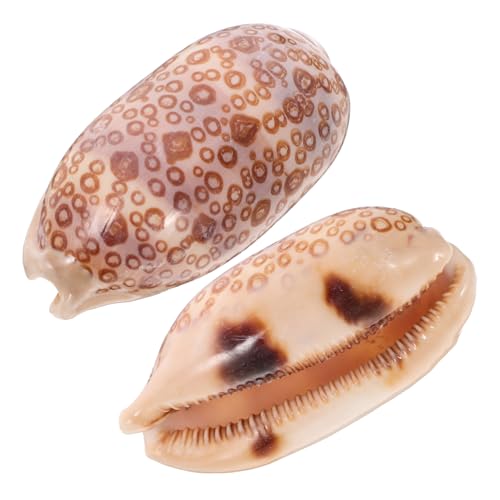 ULTECHNOVO 2stücke Muscheln Für Dekoration Und Handwerk Muschelperlen Zum Basteln Für Schmuckherstellung Glatte Sea Shells Für Aquarien Und Partydekorationen von ULTECHNOVO